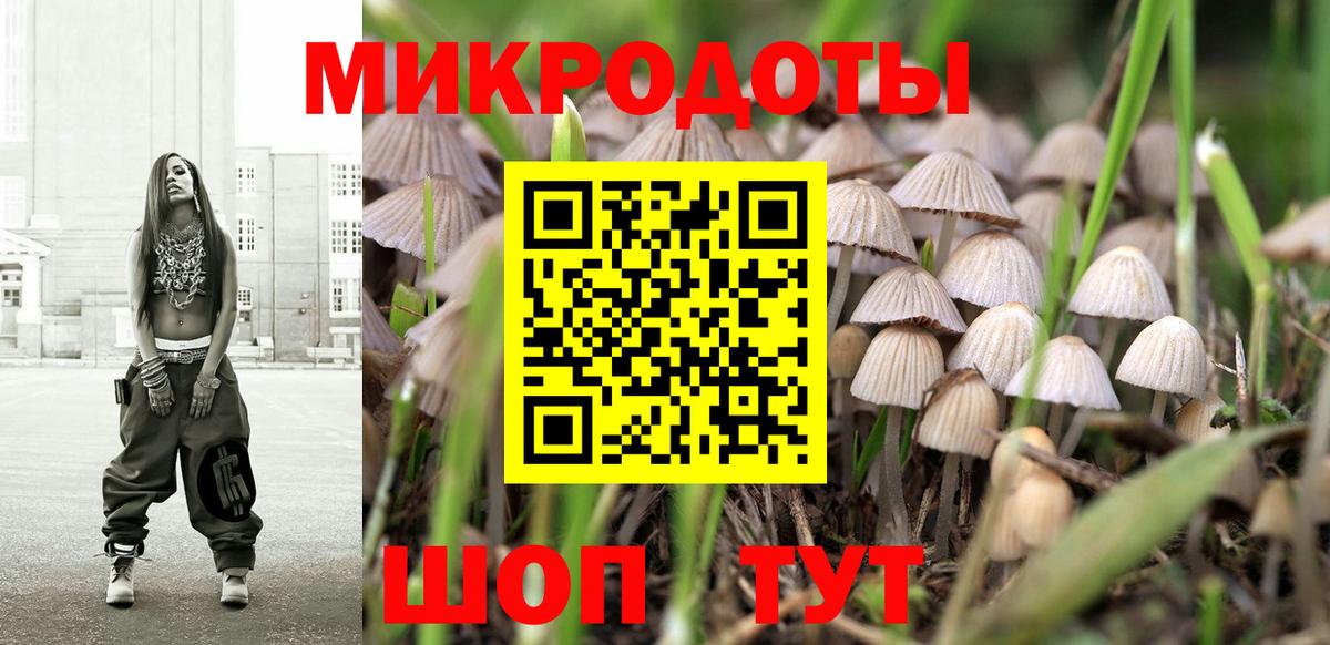 Псилоцибиновые грибы MAGIC MUSHROOMS  Вход с VPN  Балаково 